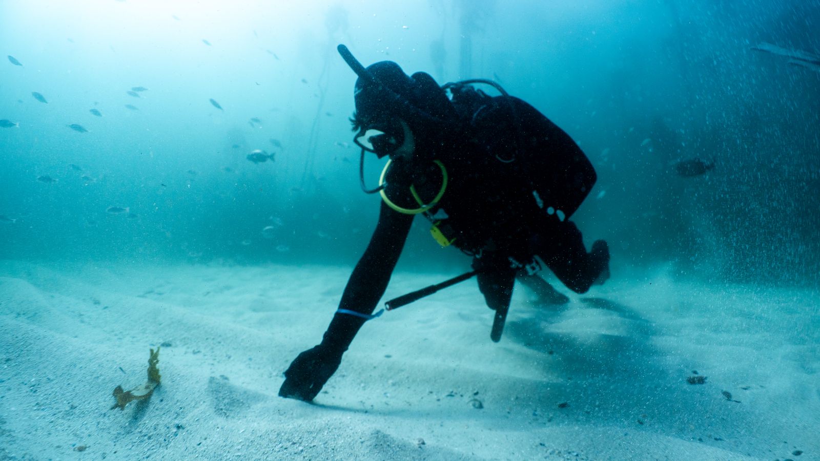 Scuba diver on the sand in False Bay